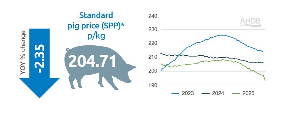 Line graph showing weekly GB standard pig prices (p/kg), EU specification, for 2023, 2024 and 2025.
